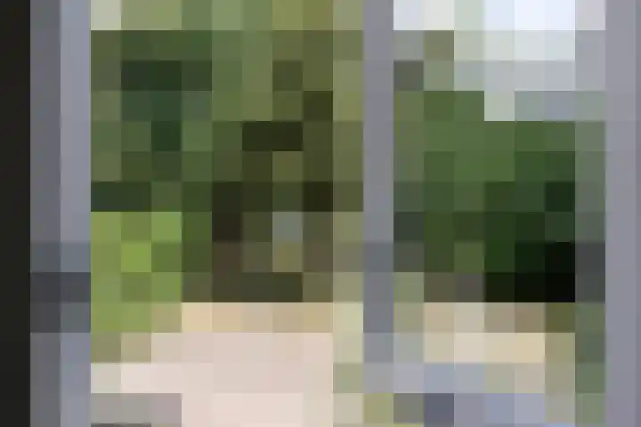 Zoomweg 8 's-Hertogenbosch thumbnail 42