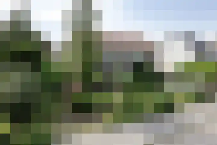 Zoomweg 8 's-Hertogenbosch thumbnail 5
