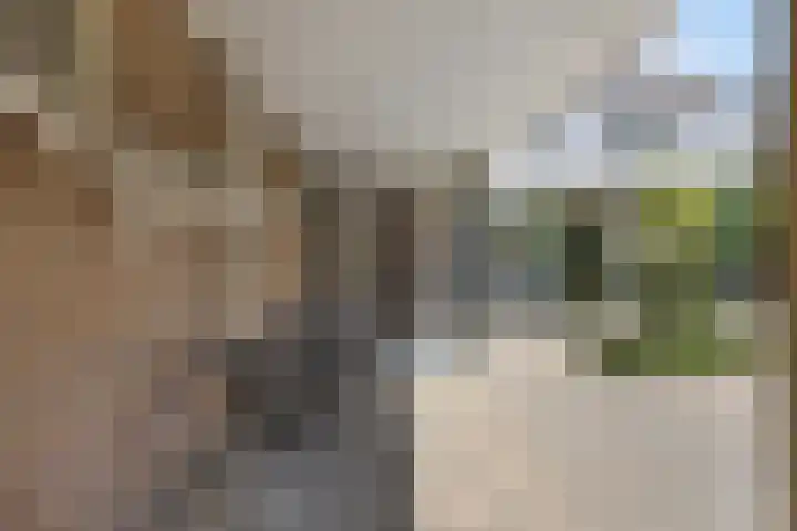 Zoomweg 8 's-Hertogenbosch thumbnail 53