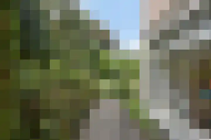 Zoomweg 8 's-Hertogenbosch thumbnail 58
