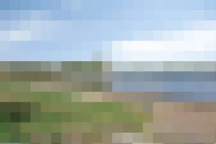 Zoomweg 8 's-Hertogenbosch thumbnail 65
