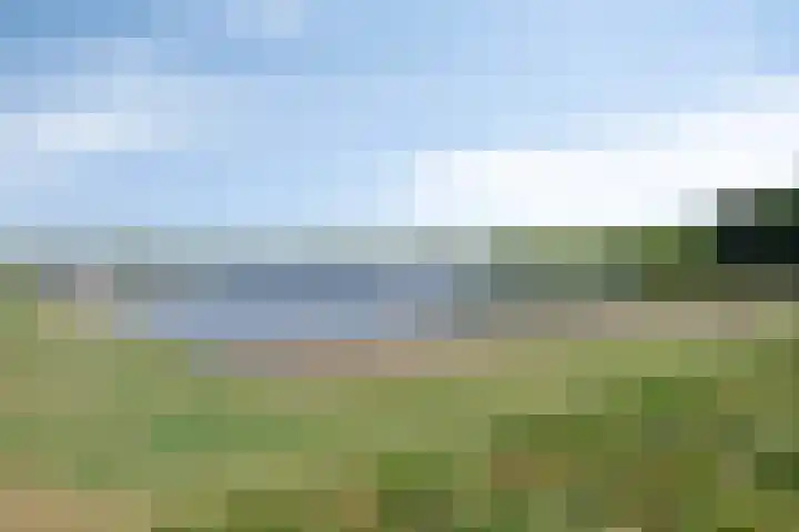 Zoomweg 8 's-Hertogenbosch thumbnail 67