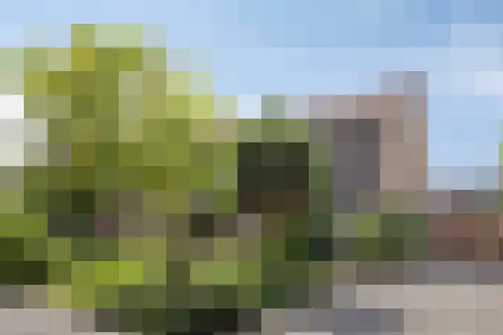 Zoomweg 8 's-Hertogenbosch thumbnail 7