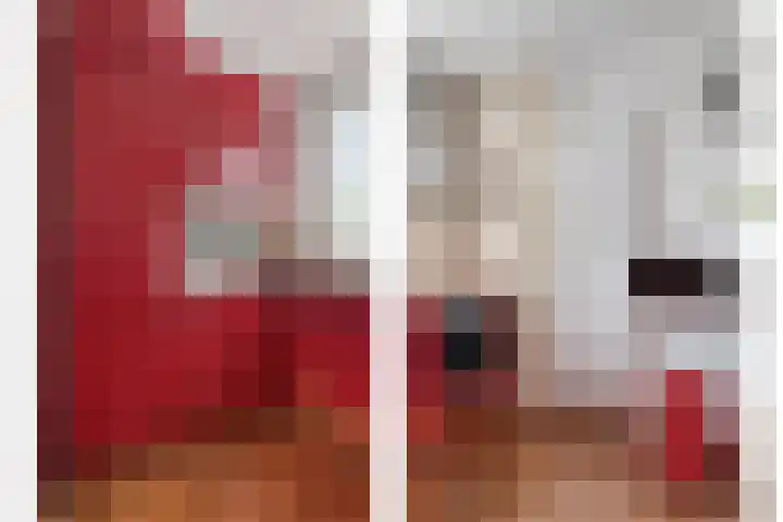 Zoomwijcklaan 102 Oud-Beijerland thumbnail 11