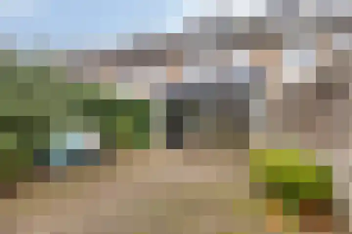 Zoomwijcklaan 102 Oud-Beijerland thumbnail 26