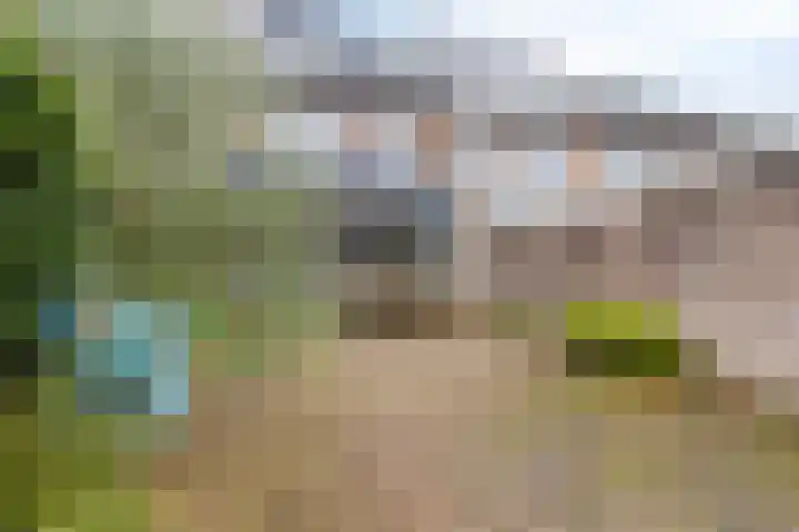 Zoomwijcklaan 102 Oud-Beijerland thumbnail 27