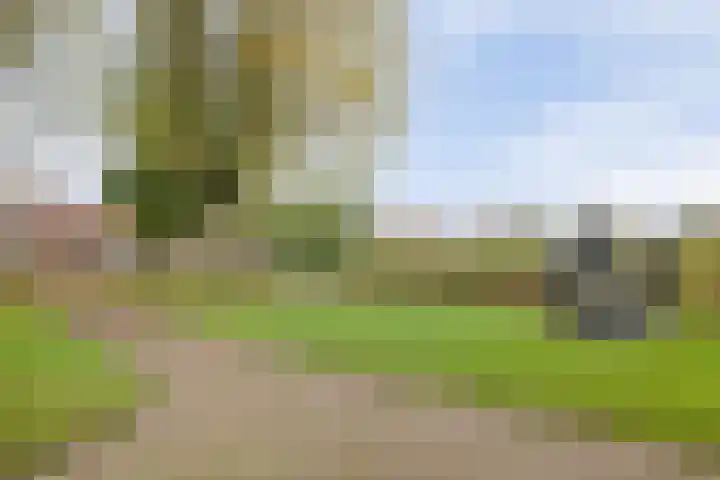 Zoomwijcklaan 102 Oud-Beijerland thumbnail 28