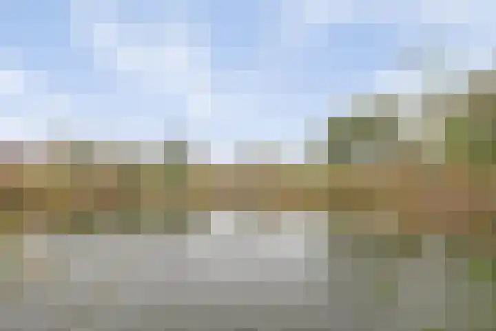 Zoomwijcklaan 102 Oud-Beijerland thumbnail 29