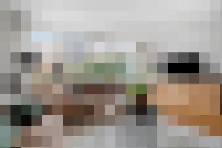 Zoomwijcklaan 102 Oud-Beijerland thumbnail 9
