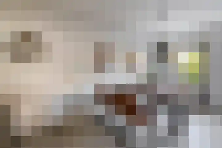 Zoomwijcklaan 132 Oud-Beijerland thumbnail 14