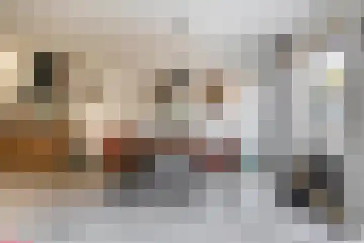 Zoomwijcklaan 132 Oud-Beijerland thumbnail 15