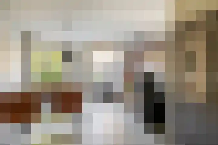 Zoomwijcklaan 132 Oud-Beijerland thumbnail 16