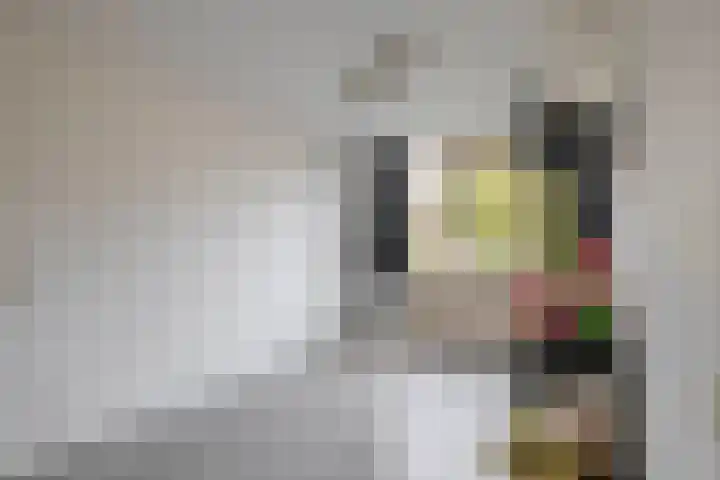 Zoomwijcklaan 132 Oud-Beijerland thumbnail 23