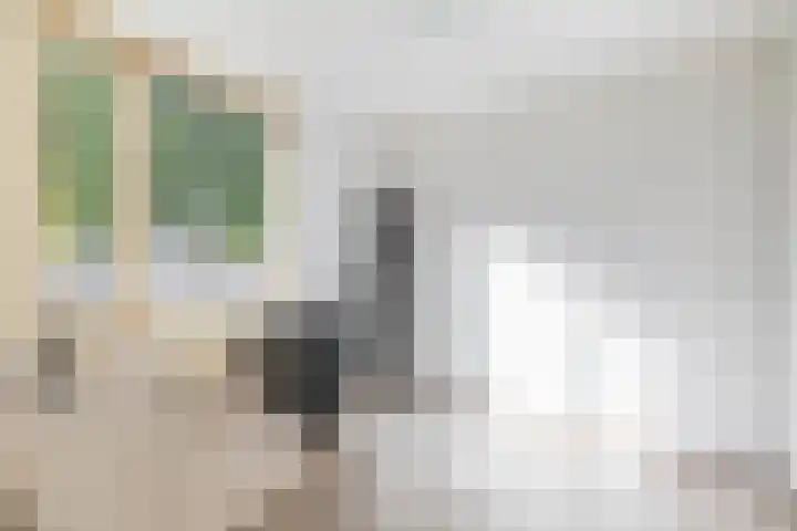 Zoomwijcklaan 132 Oud-Beijerland thumbnail 27
