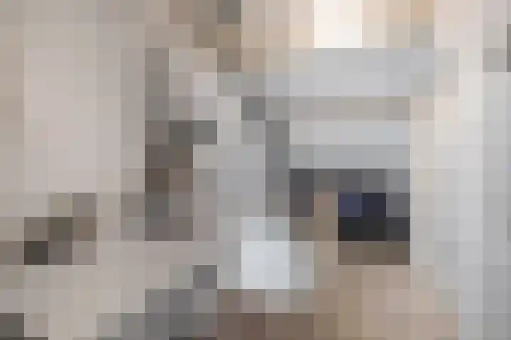 Zoomwijcklaan 132 Oud-Beijerland thumbnail 33