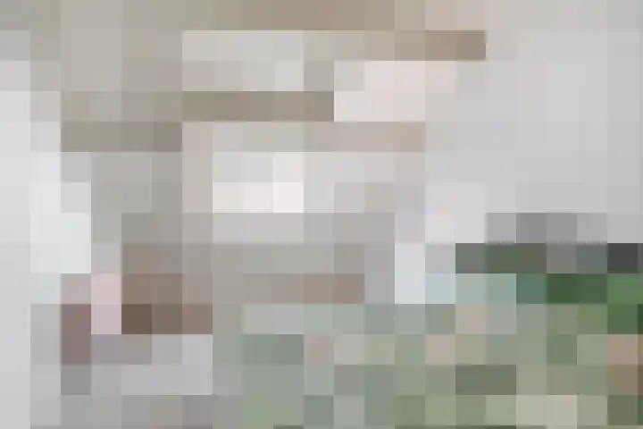 Zoomwijcklaan 132 Oud-Beijerland thumbnail 36