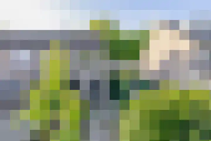 Zoomwijcklaan 132 Oud-Beijerland thumbnail 39