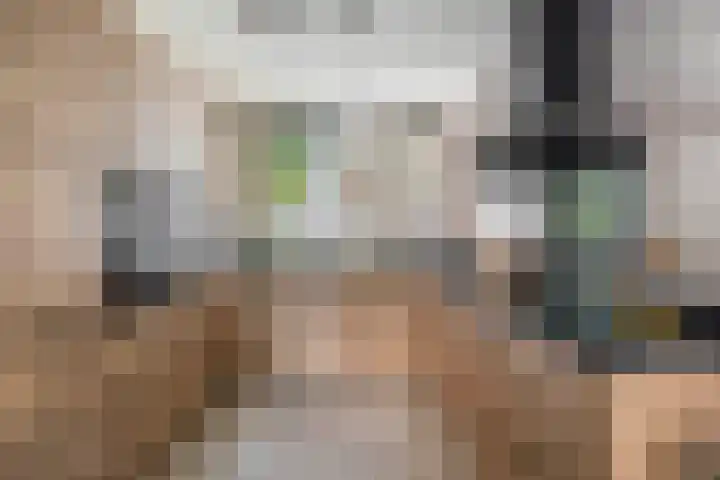 Zoomwijcklaan 132 Oud-Beijerland thumbnail 4
