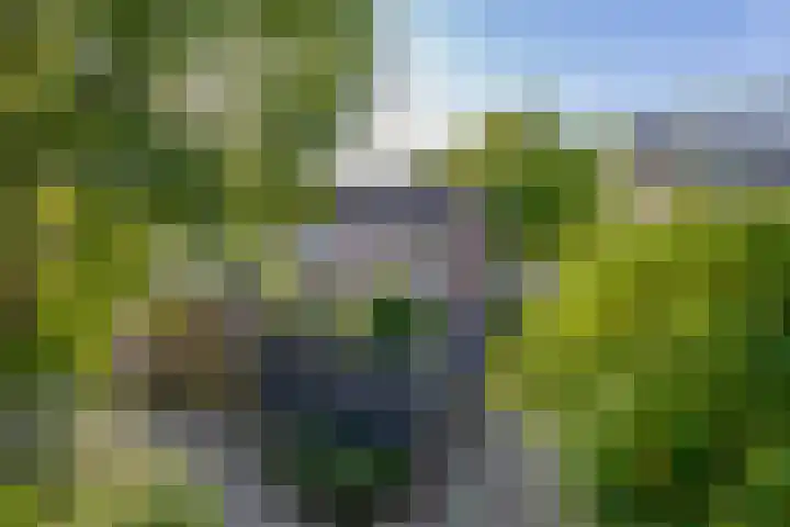Zoomwijcklaan 132 Oud-Beijerland thumbnail 40