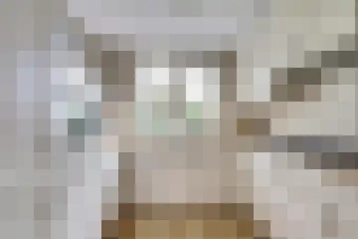 Zoomwijcklaan 176 Oud-Beijerland thumbnail 15