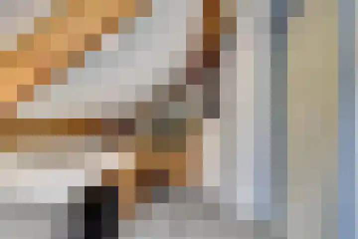 Zoomwijcklaan 176 Oud-Beijerland thumbnail 31