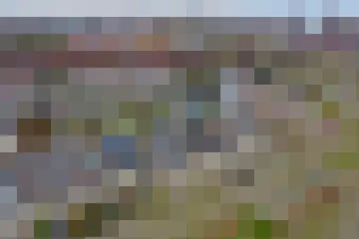Zoomwijcklaan 176 Oud-Beijerland thumbnail 39