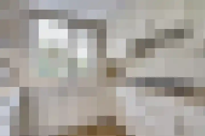 Zoomwijcklaan 176 Oud-Beijerland thumbnail 4