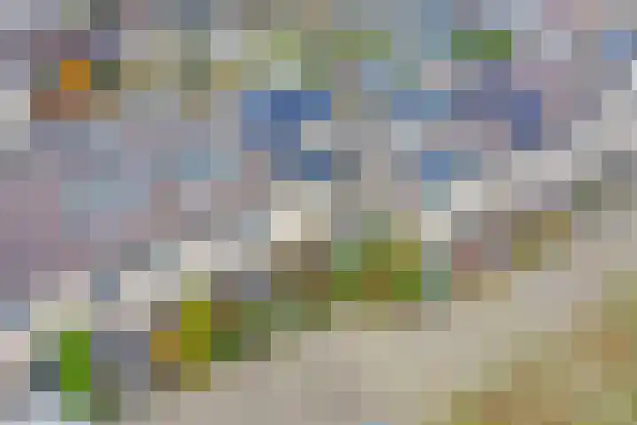 Zoomwijcklaan 176 Oud-Beijerland thumbnail 41