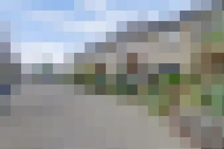 Zoomwijcklaan 176 Oud-Beijerland thumbnail 42