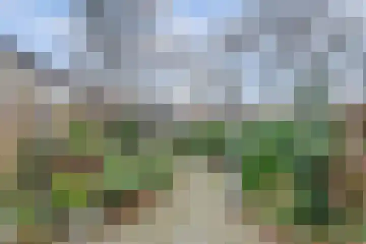 Zoomwijcklaan 176 Oud-Beijerland thumbnail 5