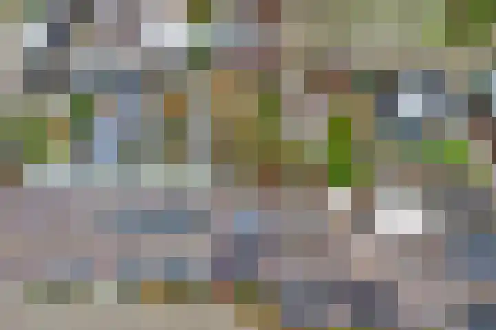 Zoomwijcklaan 176 Oud-Beijerland thumbnail 6