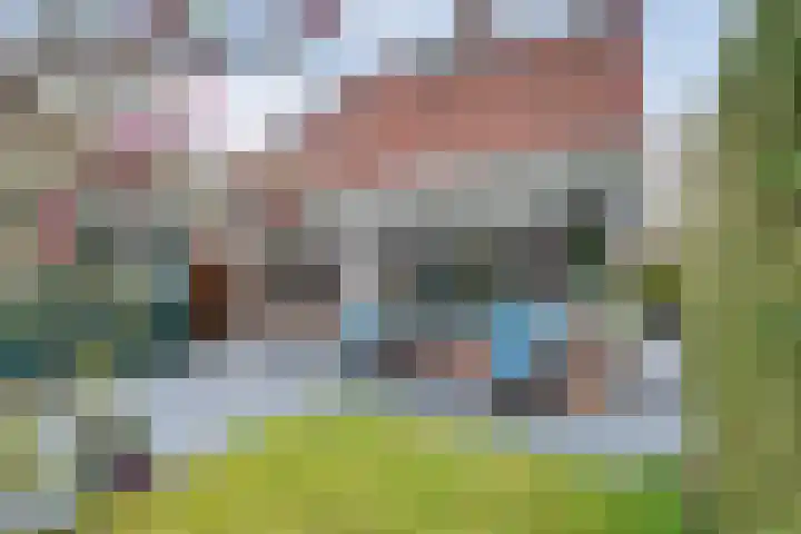 Zoomwijcklaan 21 dans Oud-Beijerland