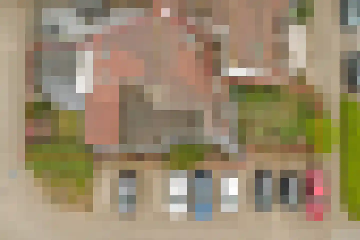 Zoomwijcklaan 21 Oud-Beijerland foto 2