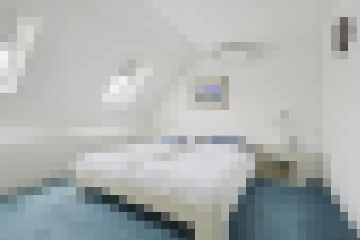Zoomwijcklaan 21 Oud-Beijerland thumbnail 20