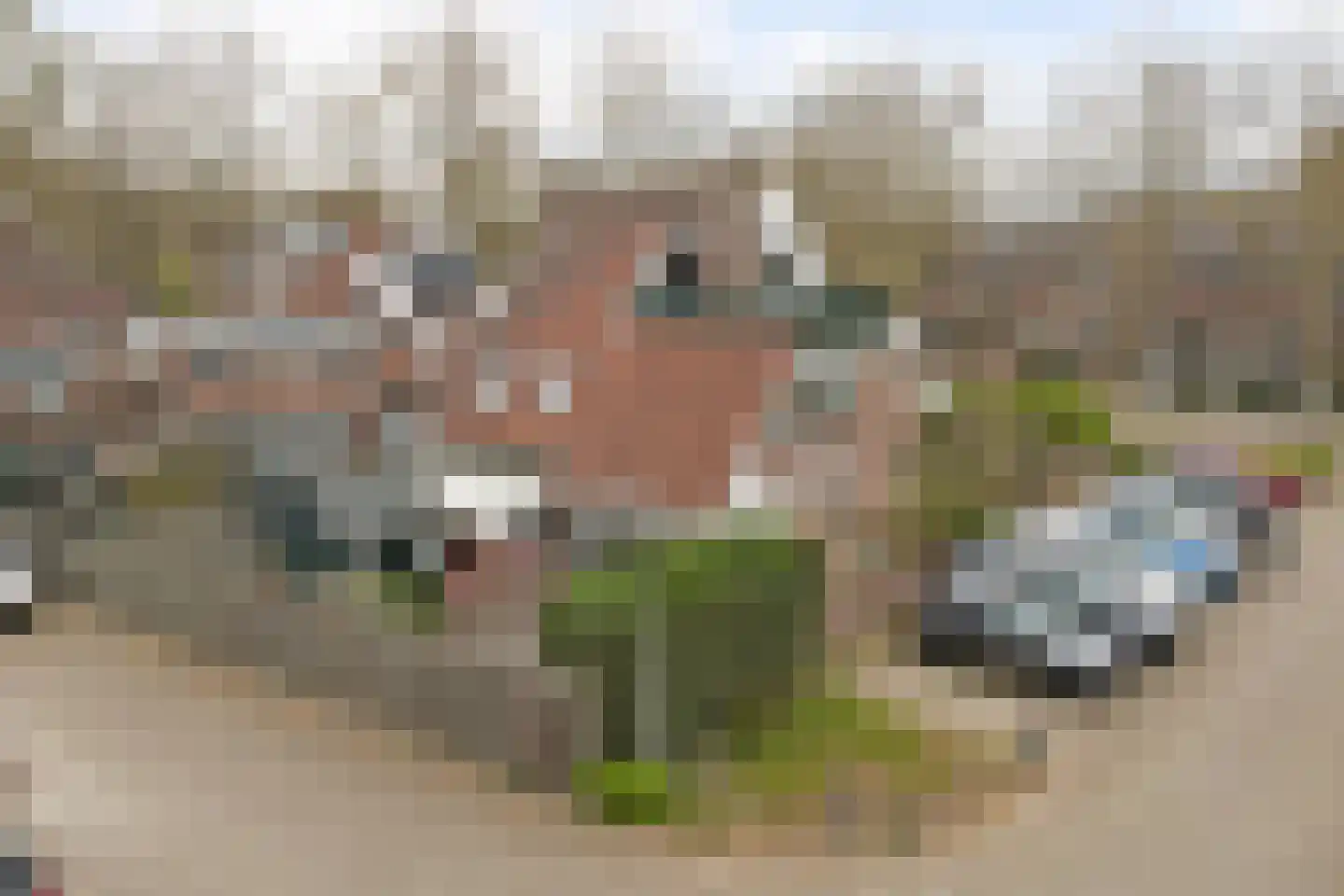 Zoomwijcklaan 21 Oud-Beijerland foto 3