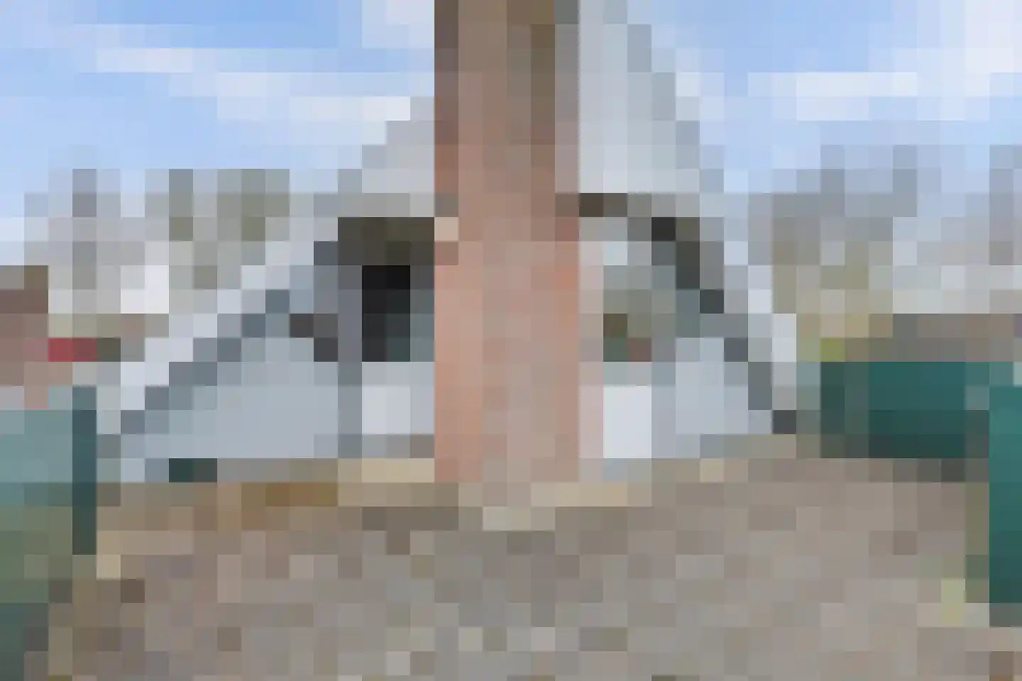 Zoomwijcklaan 21 Oud-Beijerland thumbnail 34