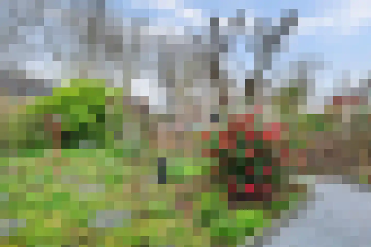 Zoomwijcklaan 21 Oud-Beijerland thumbnail 40
