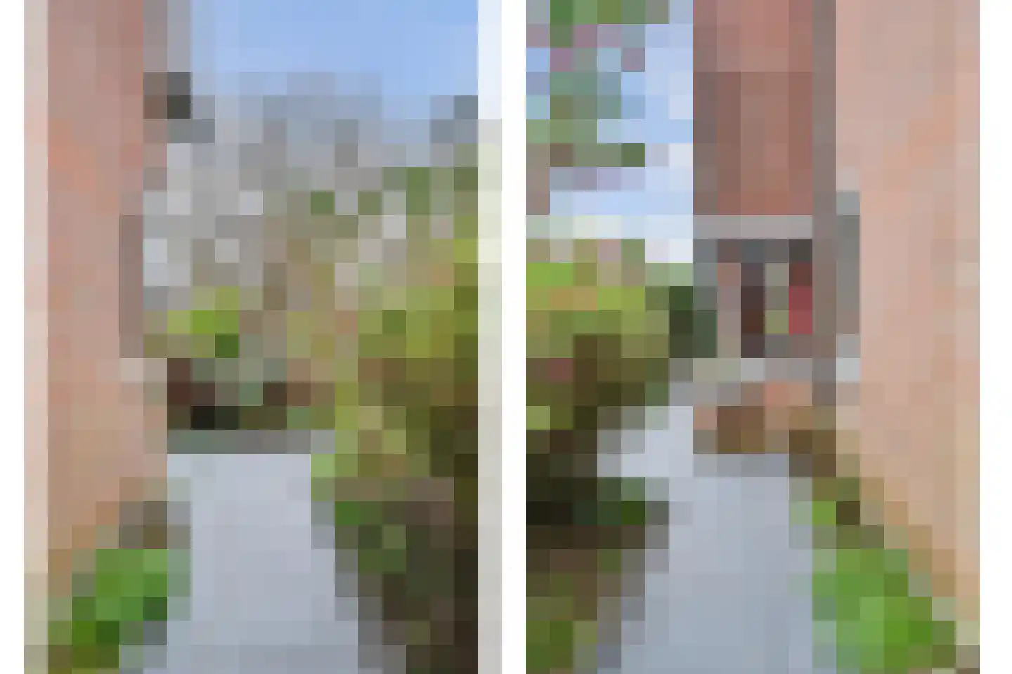 Zoomwijcklaan 21 Oud-Beijerland thumbnail 41