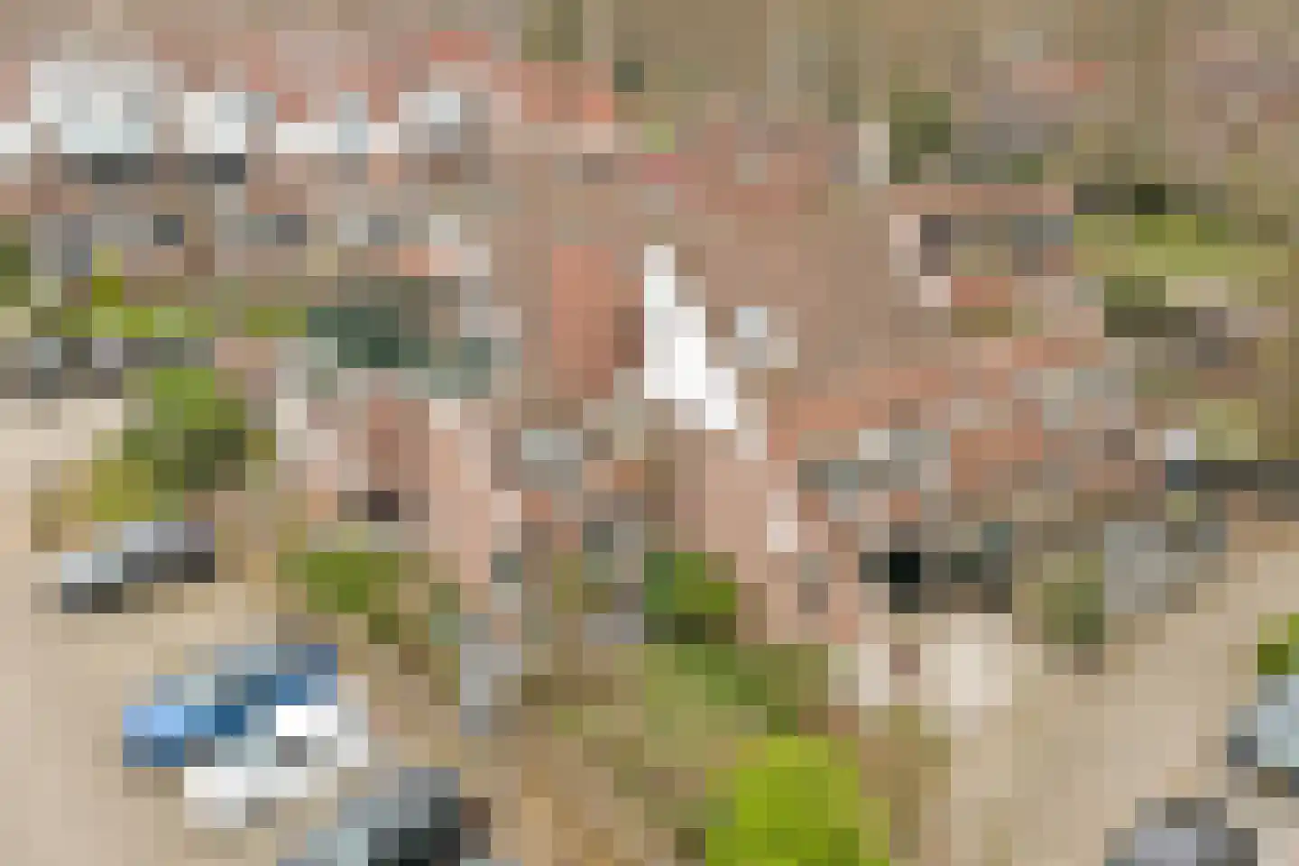 Zoomwijcklaan 21 Oud-Beijerland thumbnail 45