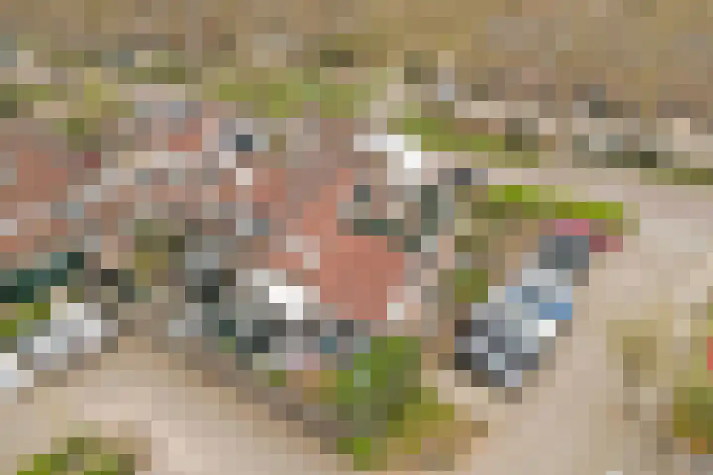 Zoomwijcklaan 21 Oud-Beijerland thumbnail 47
