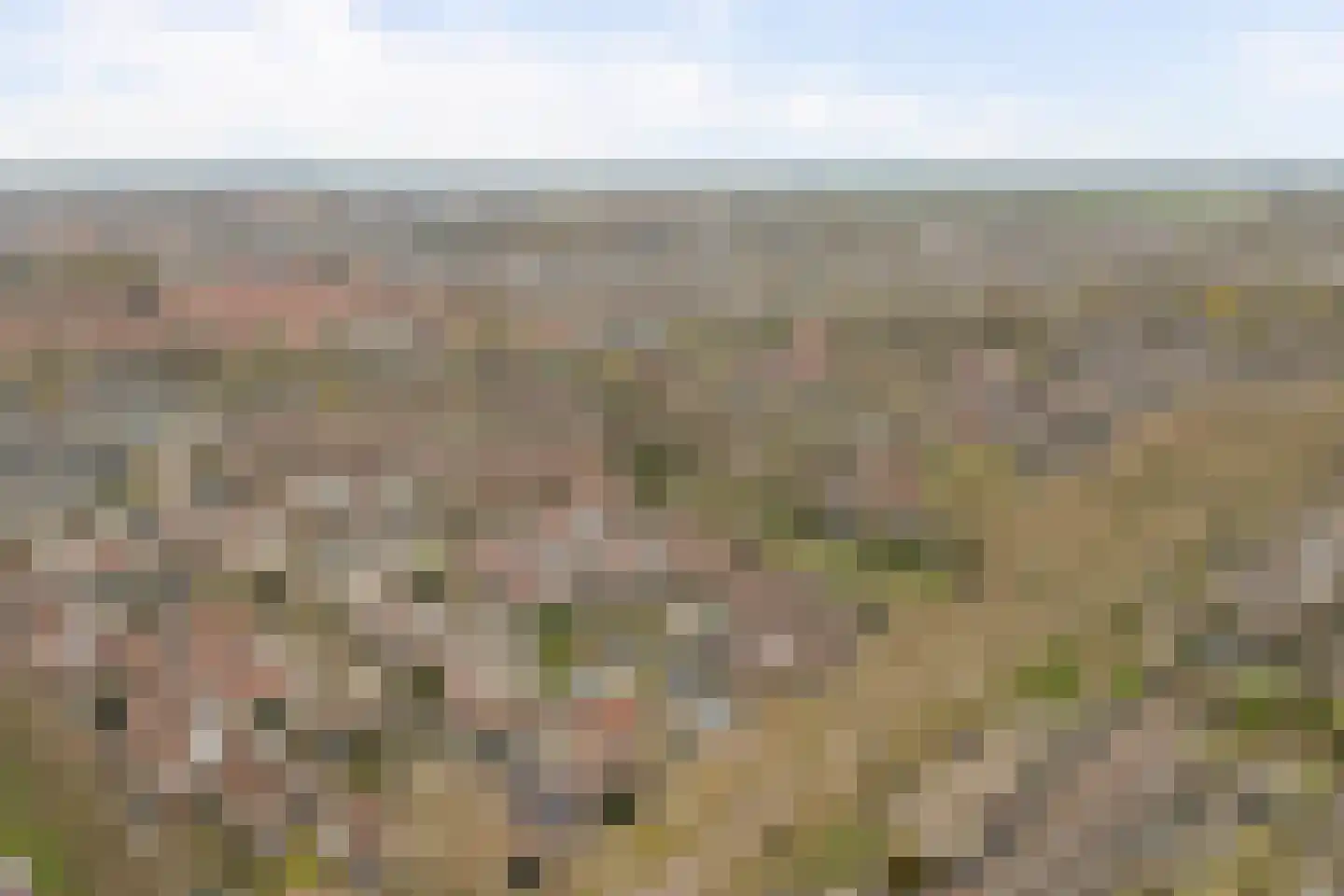 Zoomwijcklaan 21 Oud-Beijerland thumbnail 48