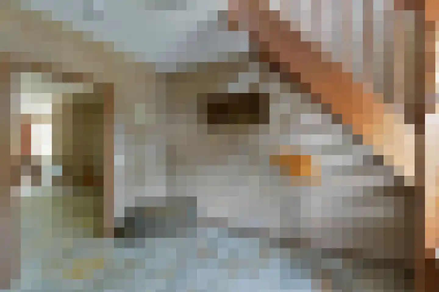 Zorggras 11 Wilnis thumbnail 16