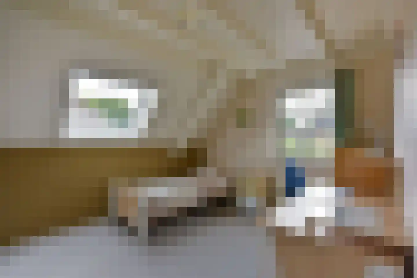 Zorggras 11 Wilnis thumbnail 18