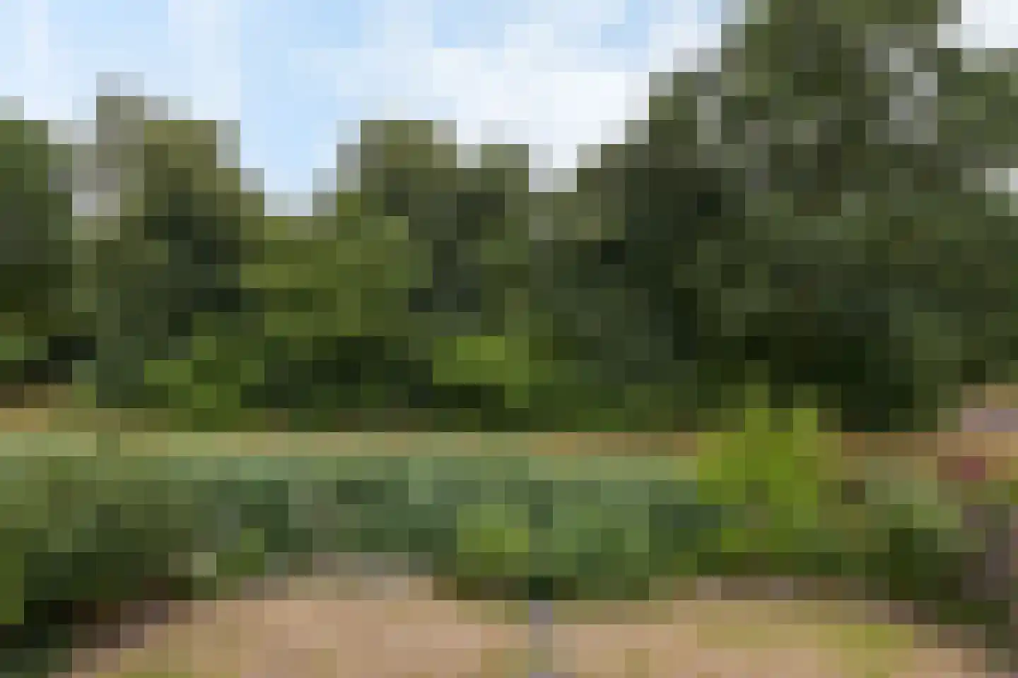 Zorggras 11 Wilnis thumbnail 25