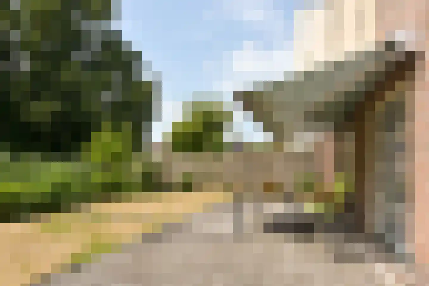 Zorggras 11 Wilnis thumbnail 30
