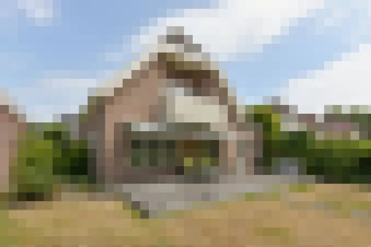 Zorggras 11 Wilnis thumbnail 30