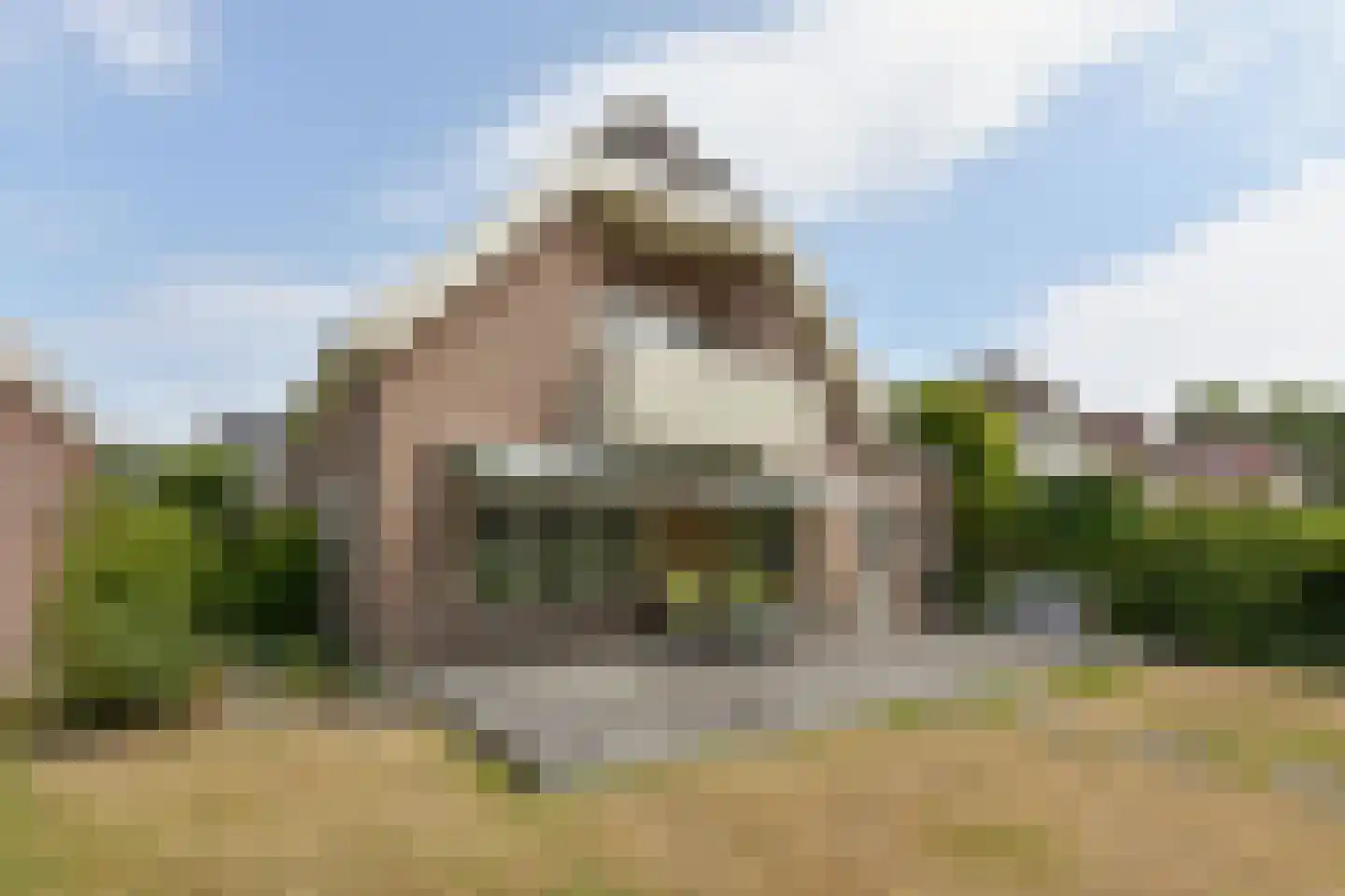 Zorggras 11 Wilnis thumbnail 31