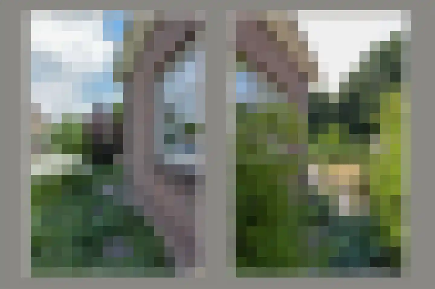 Zorggras 11 Wilnis thumbnail 32
