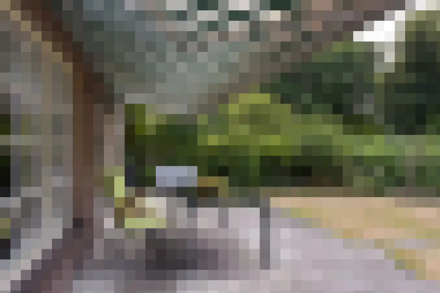 Zorggras 11 Wilnis thumbnail 32