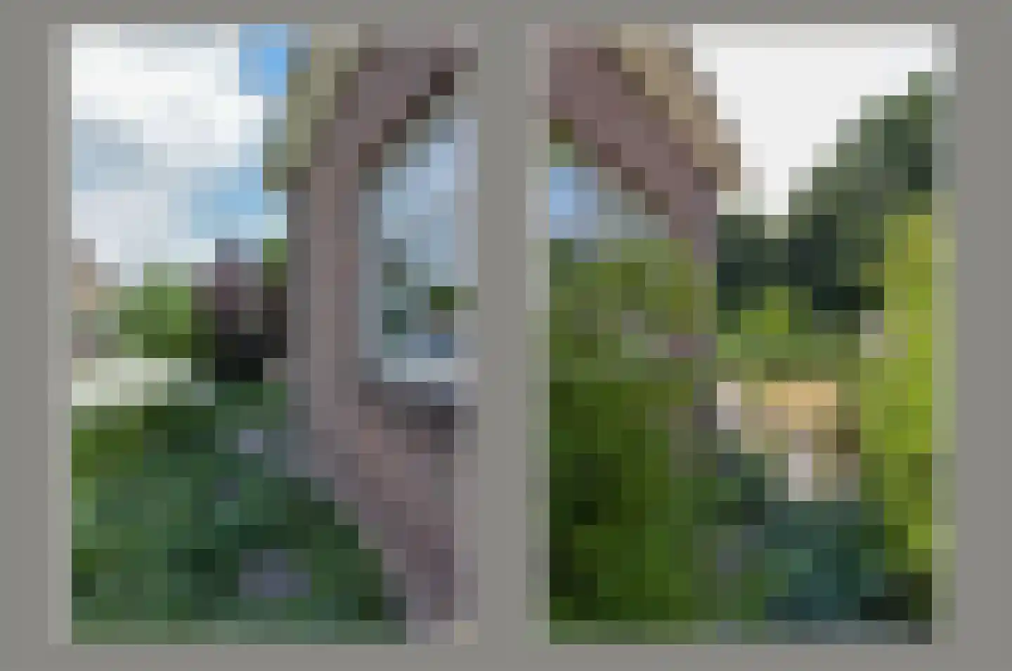 Zorggras 11 Wilnis thumbnail 33